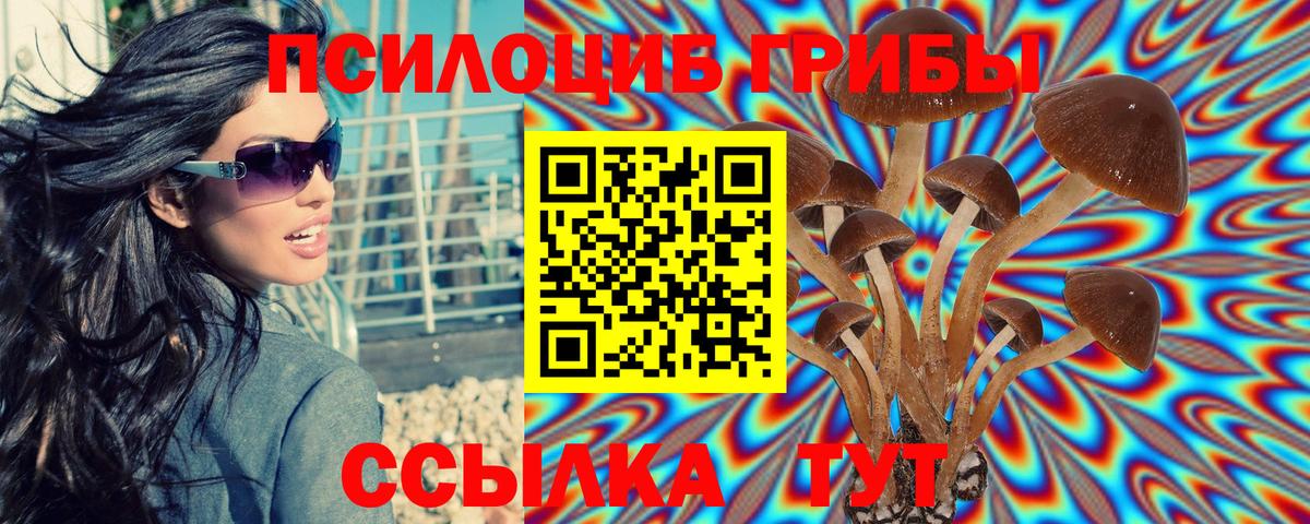 Псилоцибиновые грибы MAGIC MUSHROOMS Советск