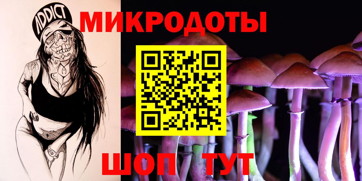 купить наркоту  Вход с VPN  Советск  Псилоцибиновые грибы Psilocybine cubensis  Псилоцибиновые грибы Magic Shrooms 